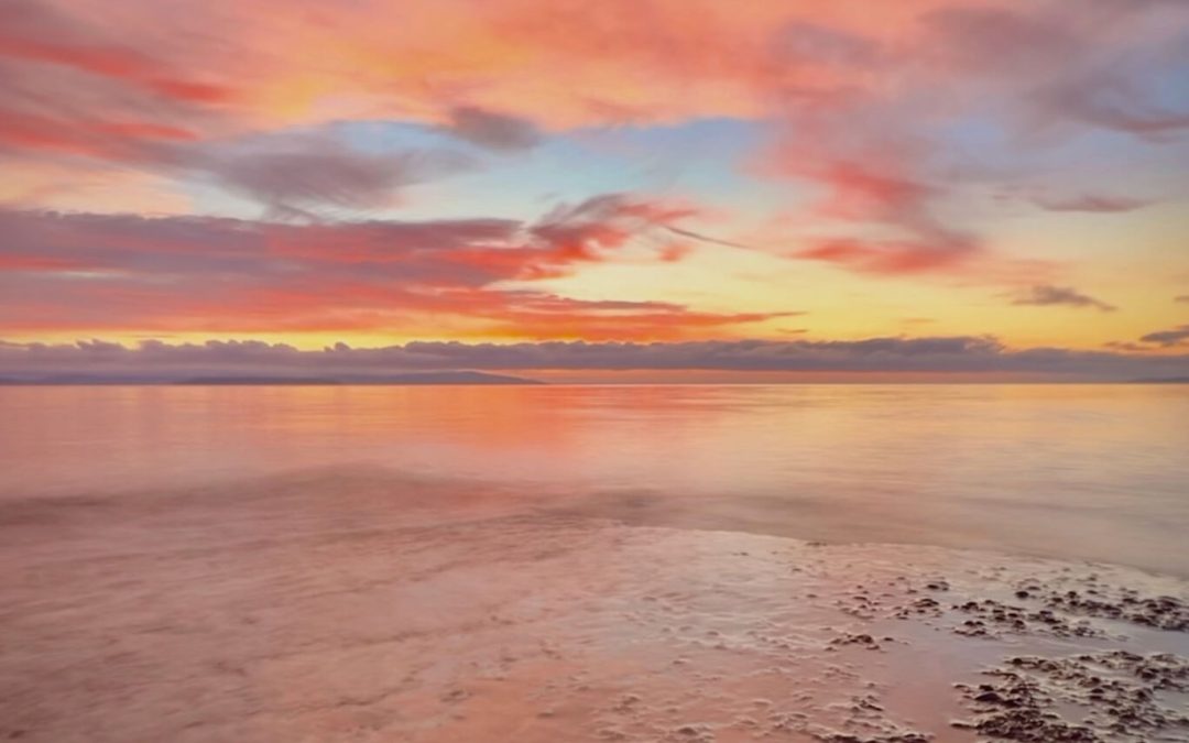 Highlights – CCTP course 2016/17