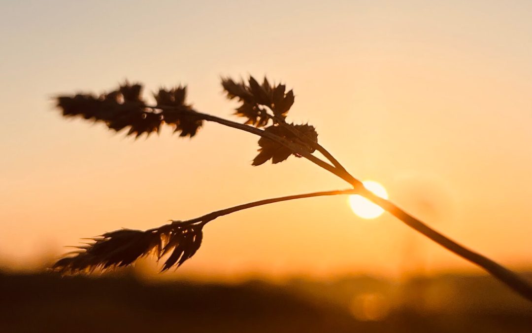 Acknowledgement – a critical skill