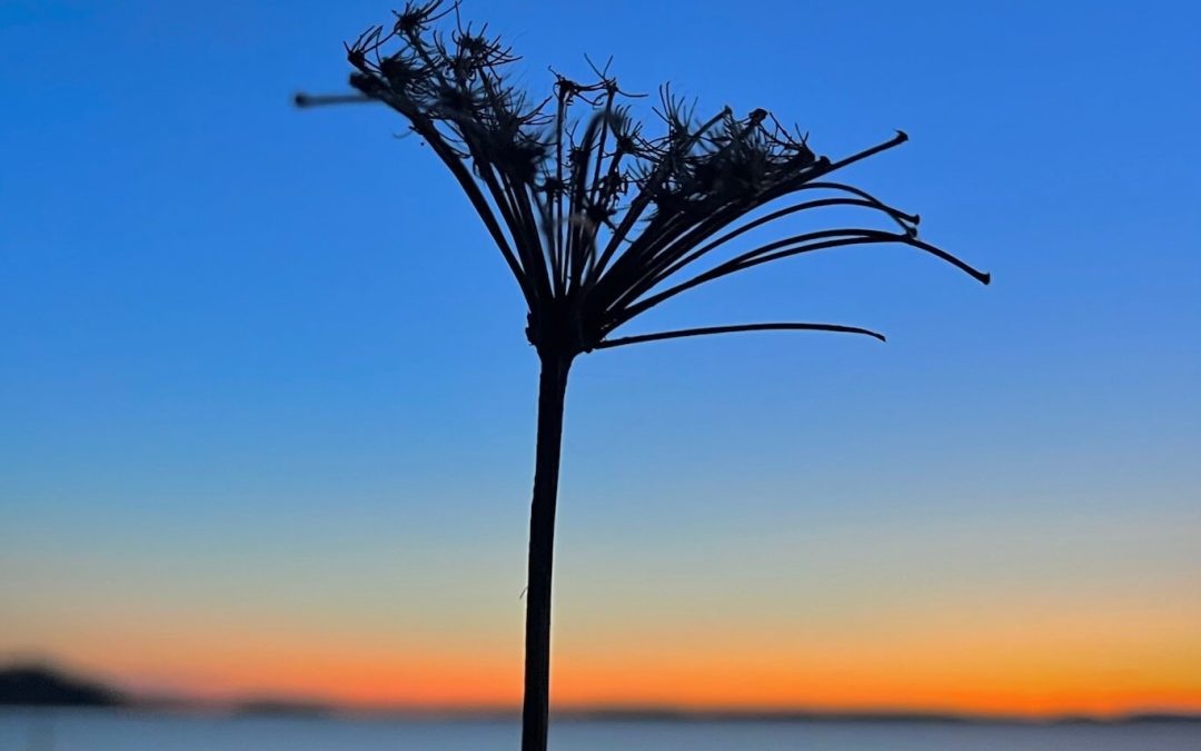 Influences – my values and sources